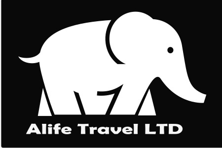 Logo Alifana Viaggi